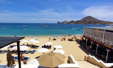 Playa El Médano con temporada alta todo el año